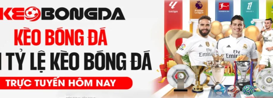 Soikeo jp net Cover Image