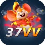 37VV Profile Picture