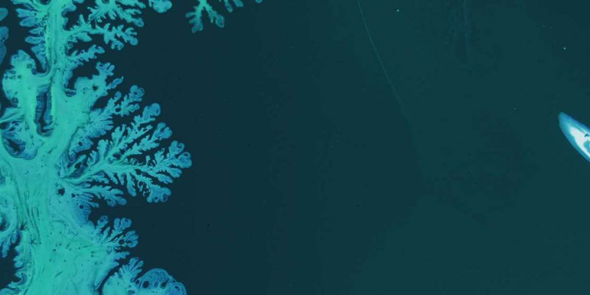 Ever enclosed why bulk seo metrics like guaranteed