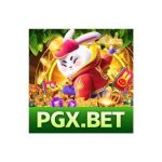 pgx bet Profile Picture