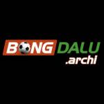 BongDa Lu Profile Picture