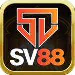 SV88 Profile Picture