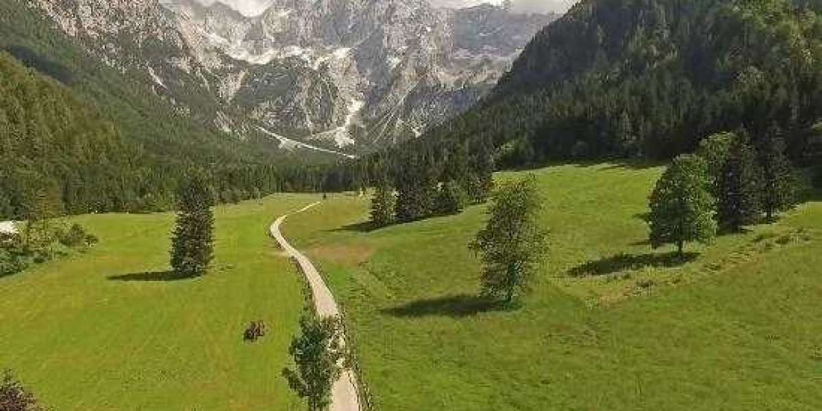 Pelican Staffing Nigeria