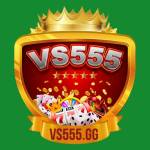 VS555 Games Profile Picture