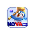 novabr Profile Picture