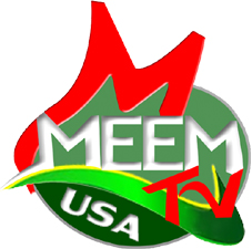MEEM TV – NET BOX