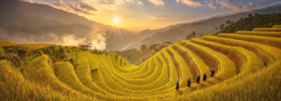 Tour ghep gia re Cover Image