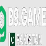 B9 Game Pakistan Profile Picture