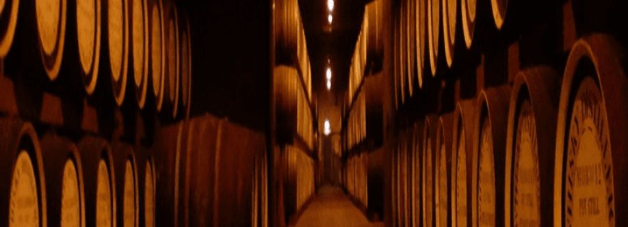 hennessyvs2026 ruoutaychinhhang Cover Image