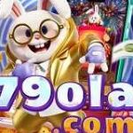 79ola Profile Picture