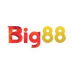 big88decom Profile Picture