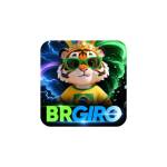 brgiro Profile Picture
