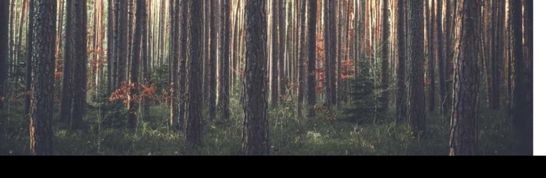 Placerville Tree Service Cover Image