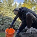 Gutter Cleaning East York Profile Picture