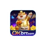 okbrr Profile Picture