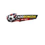 Cá Độ Bóng Đá Profile Picture