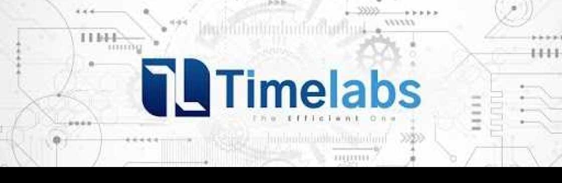 Timelabs Timelabs Cover Image