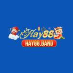 Hay88 Band Profile Picture