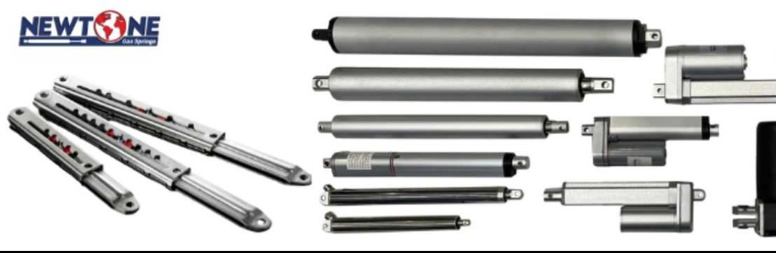 Newtone Gas Springs Cover Image