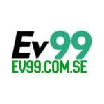 ev99comse Profile Picture