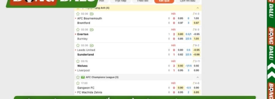 Bongdalu Cover Image