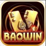 Baowin Profile Picture