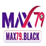 black max79 Profile Picture
