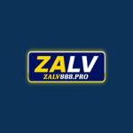 zalv888pro Profile Picture