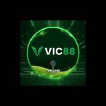 VIC88 Profile Picture