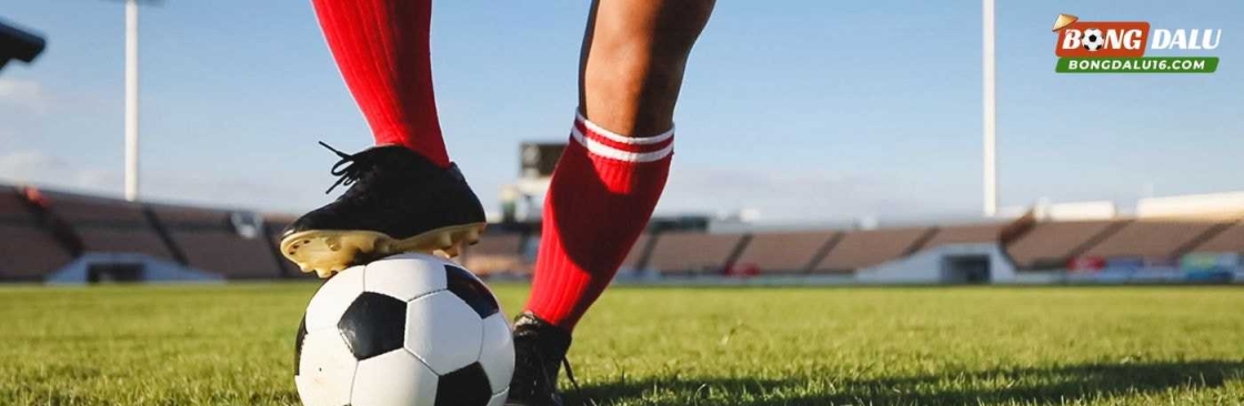 Bongdalu16 Com Cover Image