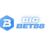 bigbet88a net Profile Picture