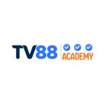 tv88academy Profile Picture
