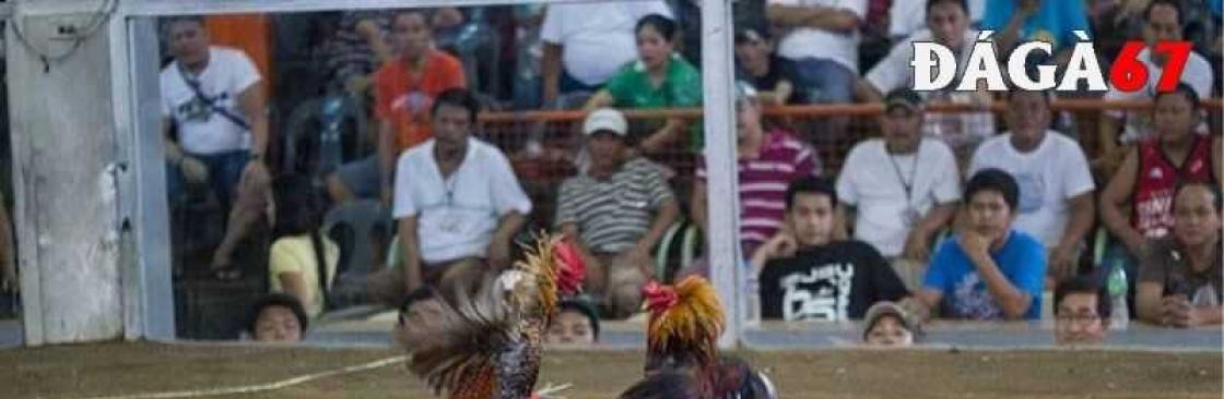 ĐÁ GÀ 67 BOETE Cover Image