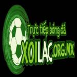Xoilac Tv Profile Picture