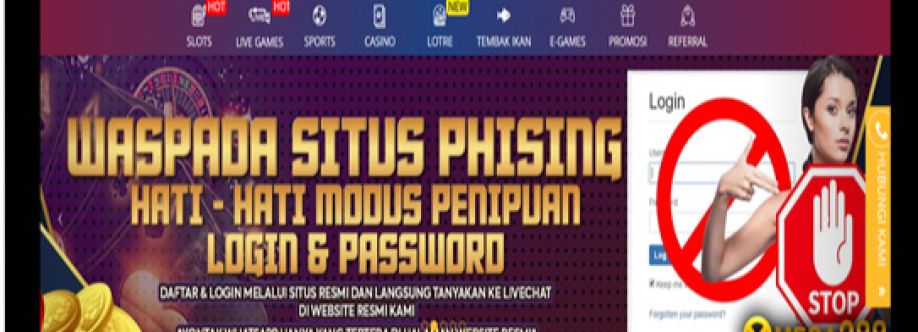 Mega288 id Cover Image