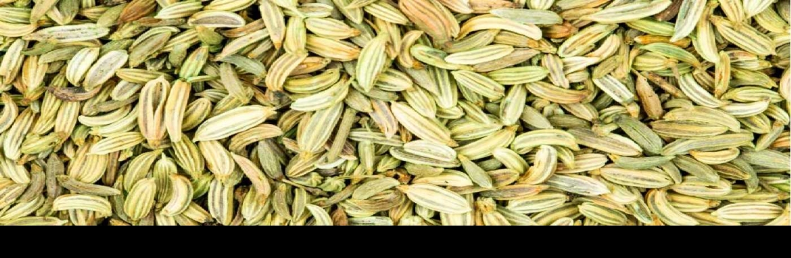 Sadbhaav Global Impexx Llp Cover Image