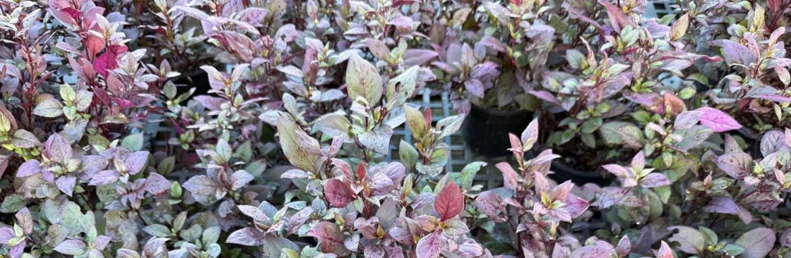 Marc Healing Arts LLC Cover Image