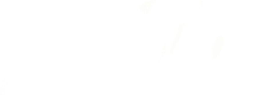 Bicmoney VN Cover Image