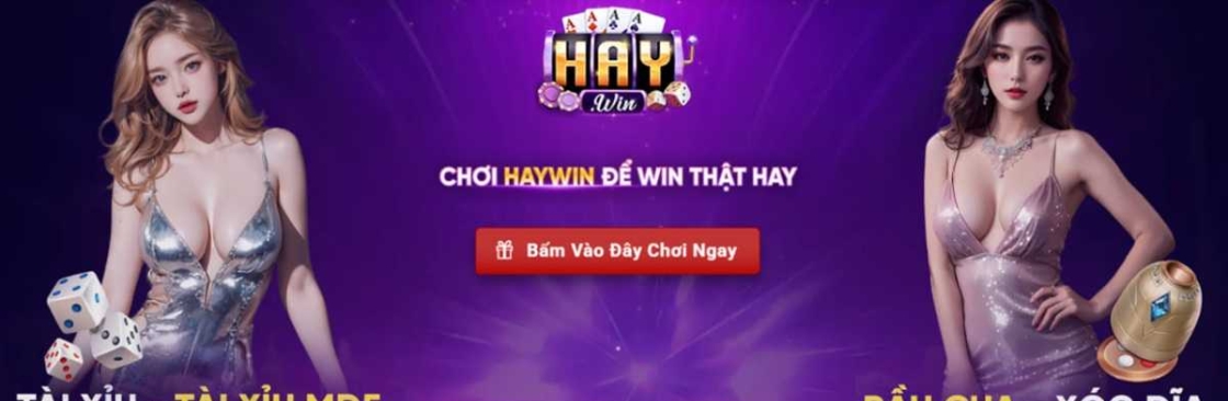 Haywin VuiThuVanMay Cover Image