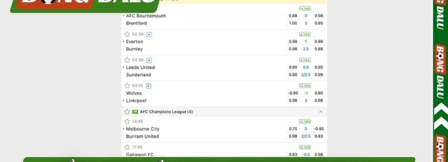 Bongdalu Cover Image