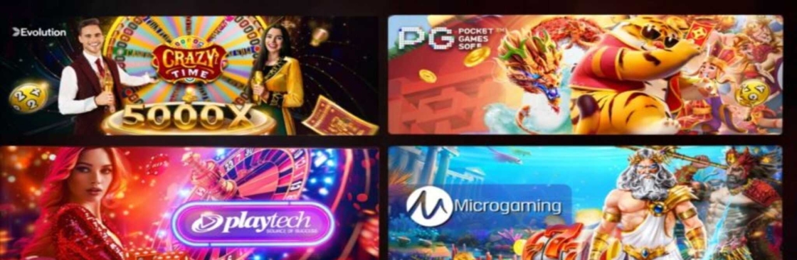 Rvip Pro Cover Image