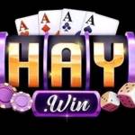 Haywin Profile Picture