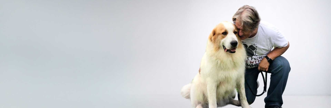 Fortune Meadows Cover Image