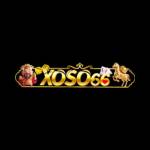 xoso66degree Profile Picture