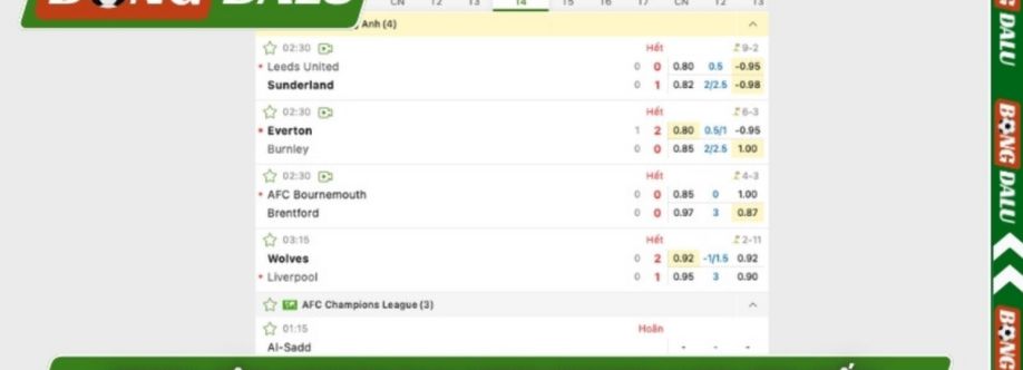 Bongdalu Cover Image