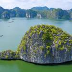 Vịnh Lan Hạ Profile Picture