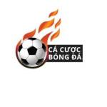 Trang Cá Cược Bóng Đá Profile Picture