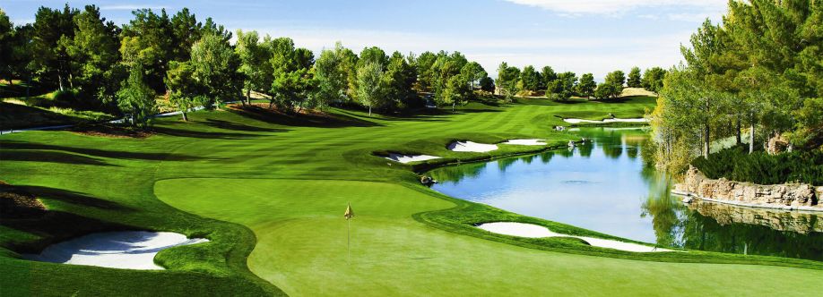 Fastee Golf Cover Image