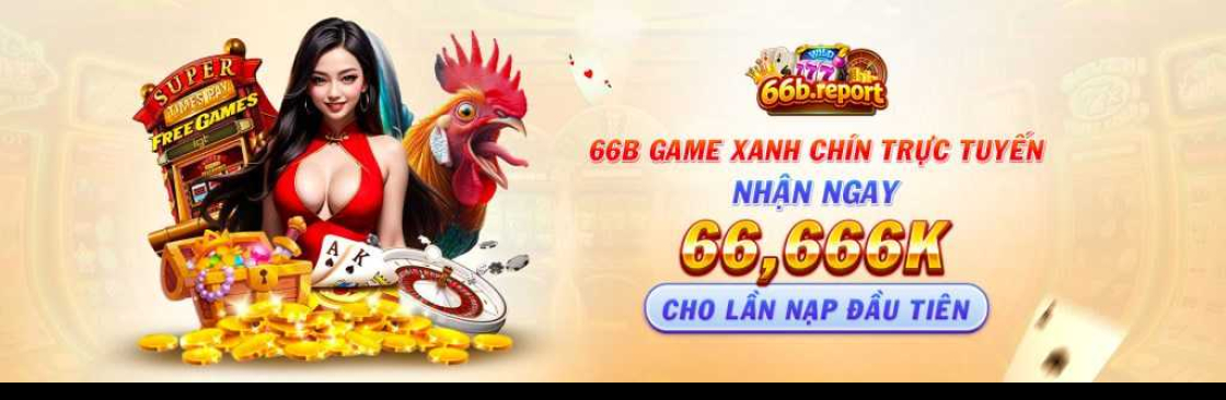 66b report Cover Image