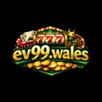 EV99 Wales Profile Picture